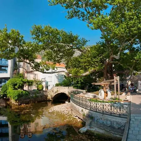 In 44020 דירה מליני